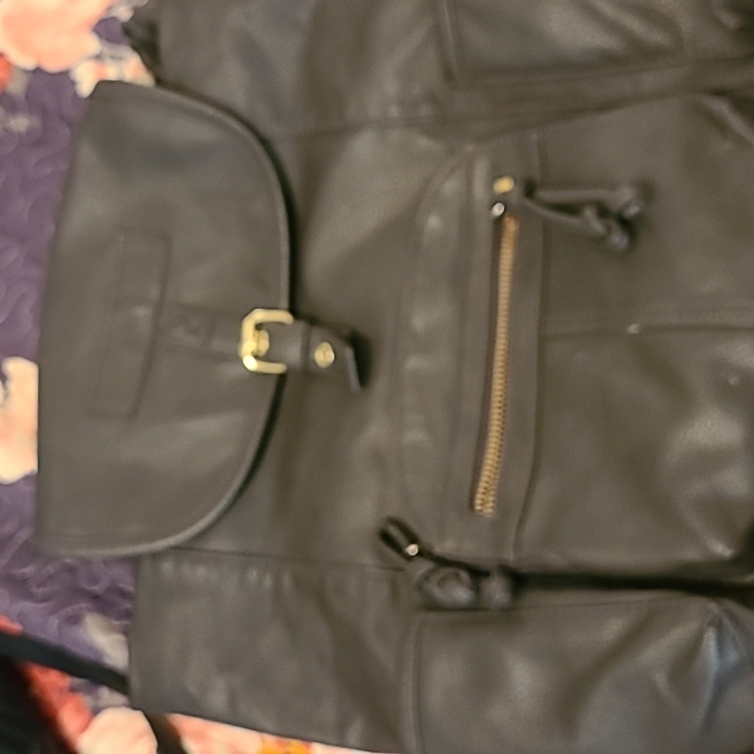 American Eagle Back Pack
